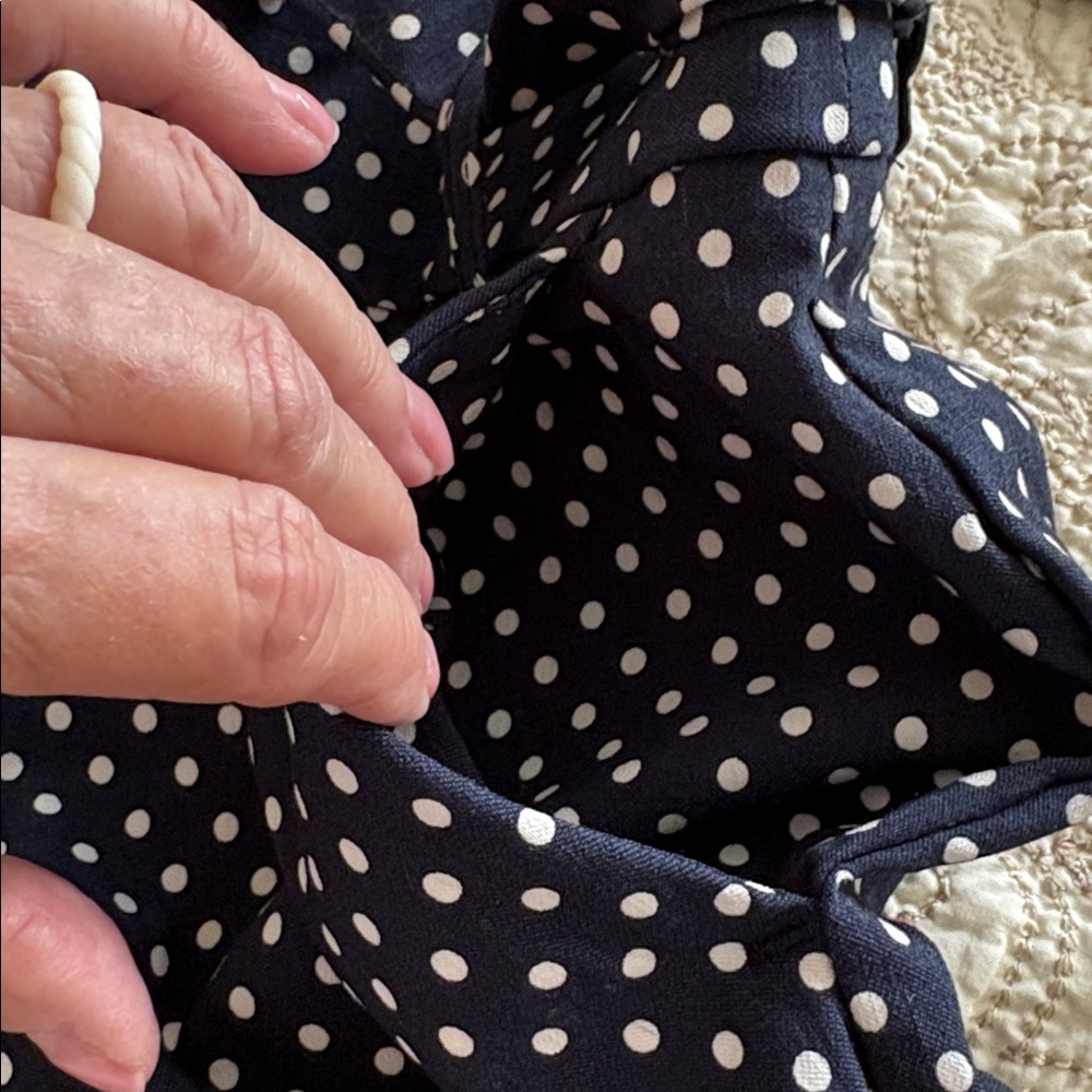 JULES & LEOPOLD Navy Polka Dot Pants - Picture 14 of 15
